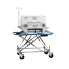 inkubator-bayi-transport-gea-ti-2000